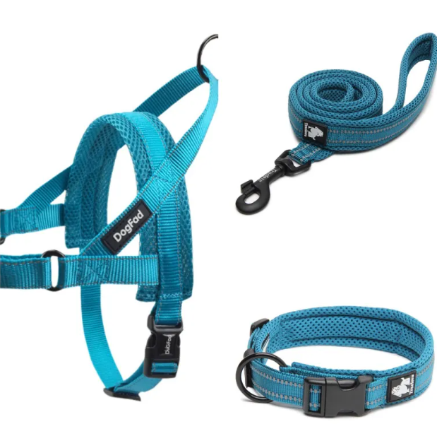 Adjustable Nylon Dog Leash – Stretchable 110CM & 200CM Pet Walking Lead