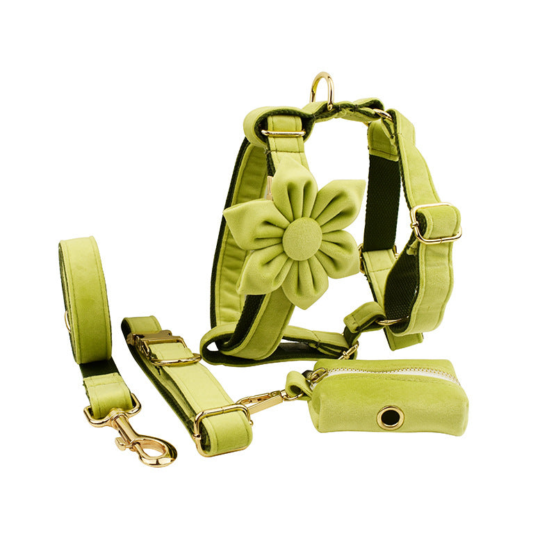 Avocado Velvet Dog Collar & Accessories – Luxury Adjustable Pet Collar Collection