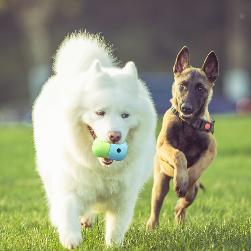 Silicone Dog Feeding Toy Ball for Outdoor Play – Interactive Treat Dispensing Dog Toy