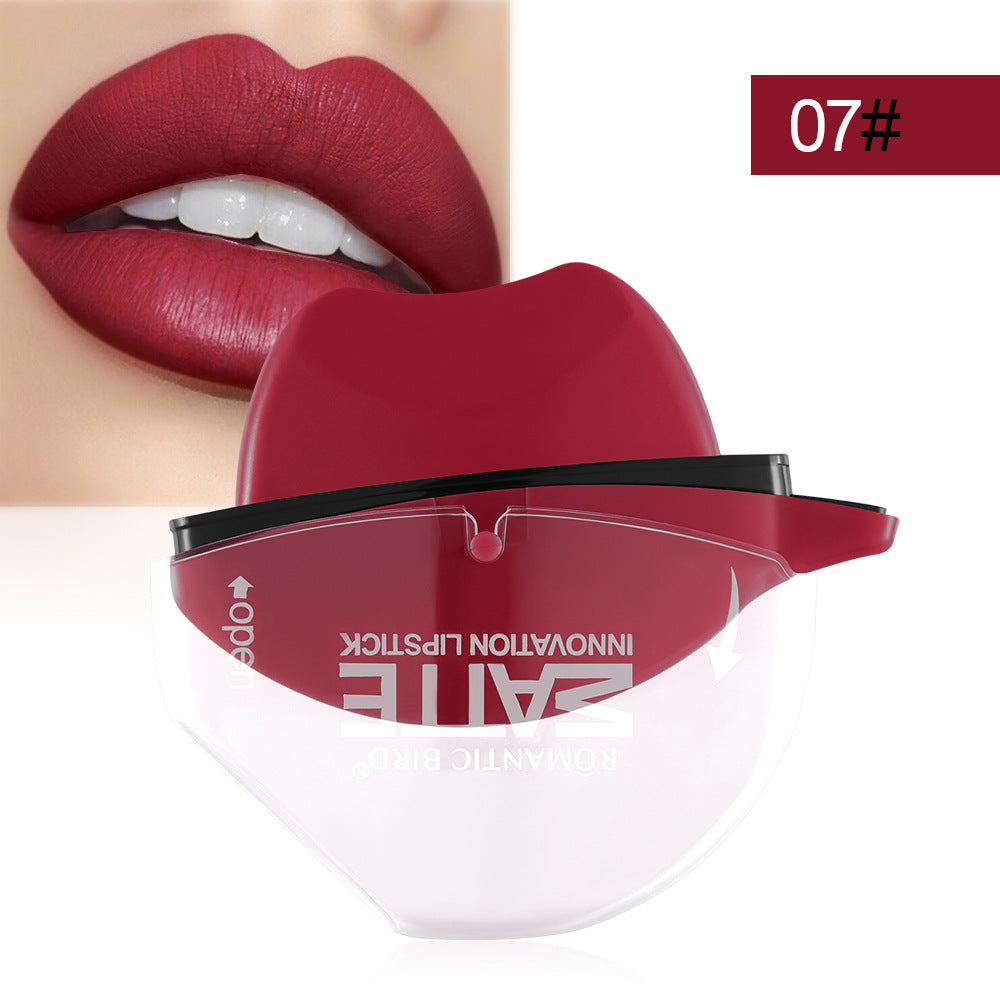 Matte Lipstick Lip Gloss in Creative Shapes