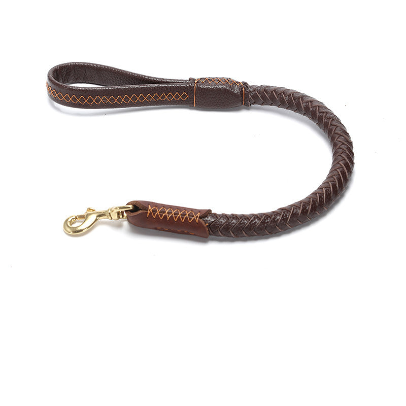 Premium Leather Dog Leash – Heavy-Duty Walking & Training Lead for Medium & Large Dogs