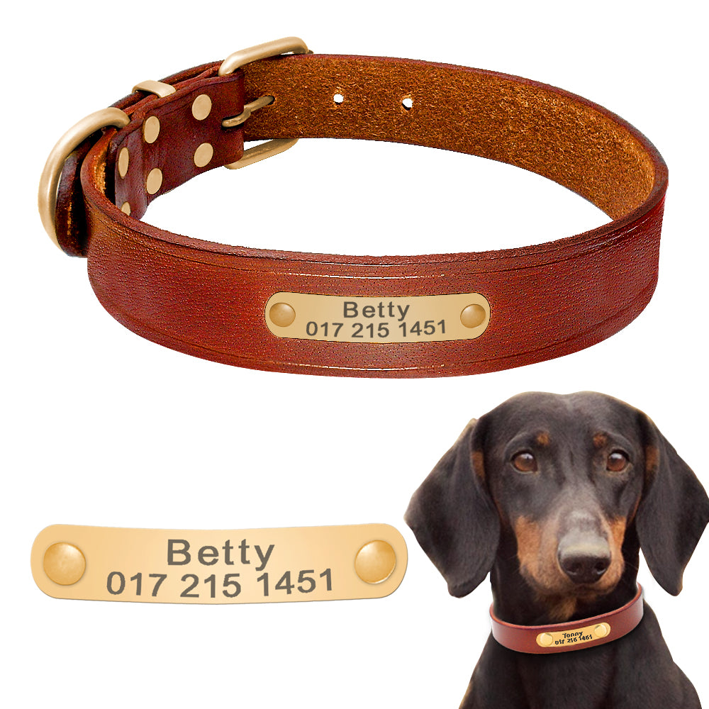 Personalized Leather Dog Collar – Custom Engraved ID Name Collar for Small to Large Dogs