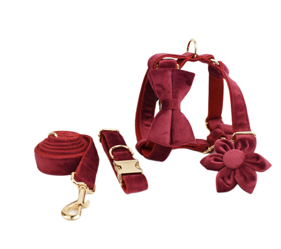 Adjustable Velvet Dog Collar – Soft Luxury Pet Collar in 19 Stylish Colors