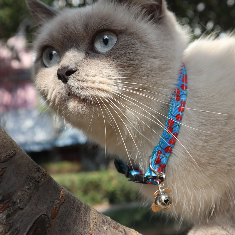 Fruit Print Cat Collar – Adjustable Polyester Webbing Collar in 5 Cute Designs