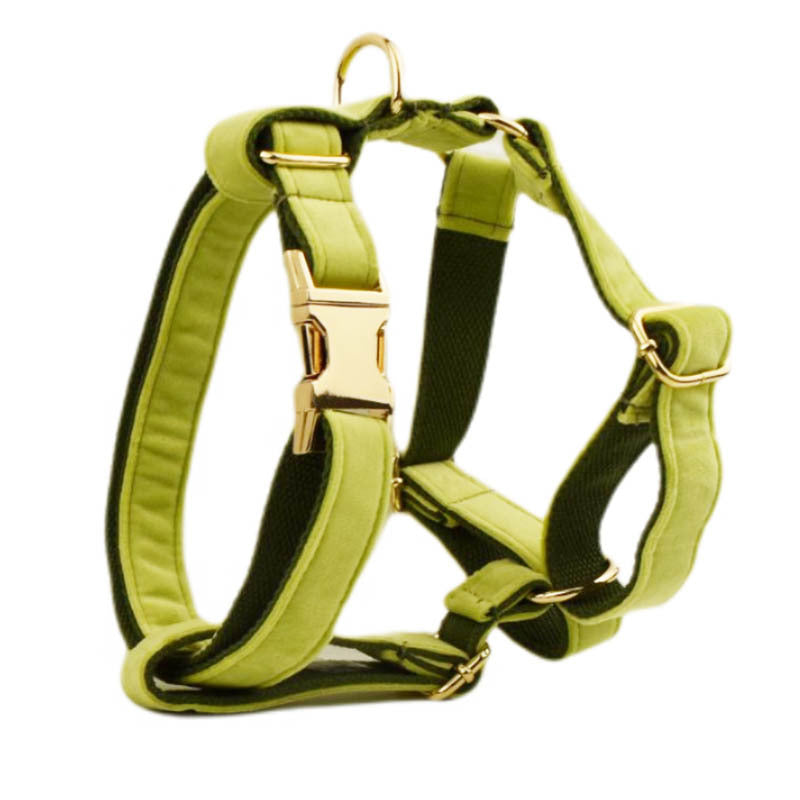 Avocado Velvet Dog Collar & Accessories – Luxury Adjustable Pet Collar Collection