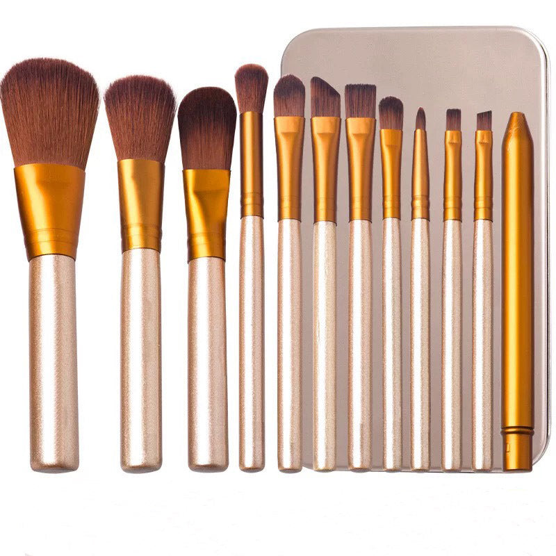 12-Piece Makeup Brush Set in Iron Box