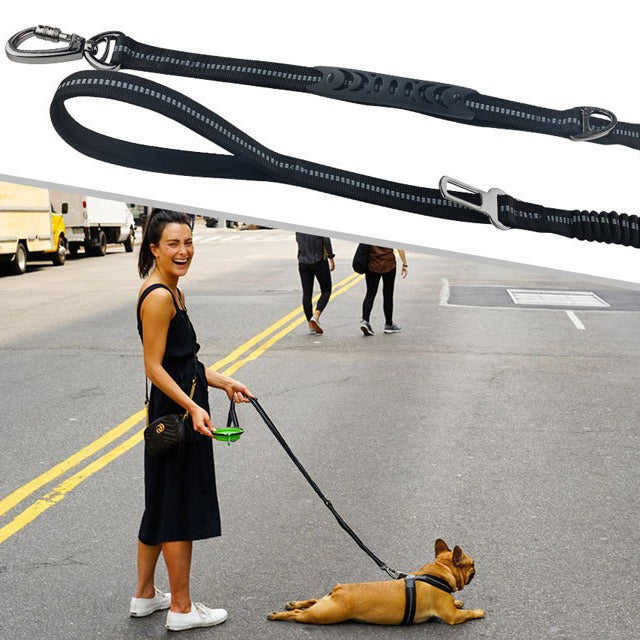 Heavy-Duty Dog Training Leash – 53-Inch Polyester Traction Lead with Large Hook