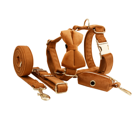Adjustable Velvet Dog Collar – Soft Luxury Pet Collar in 19 Stylish Colors
