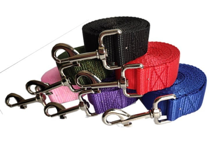 Extra-Long Dog Training Leash – 2.5CM Wide Heavy-Duty Rope Lead for Recall & Outdoor Adventures