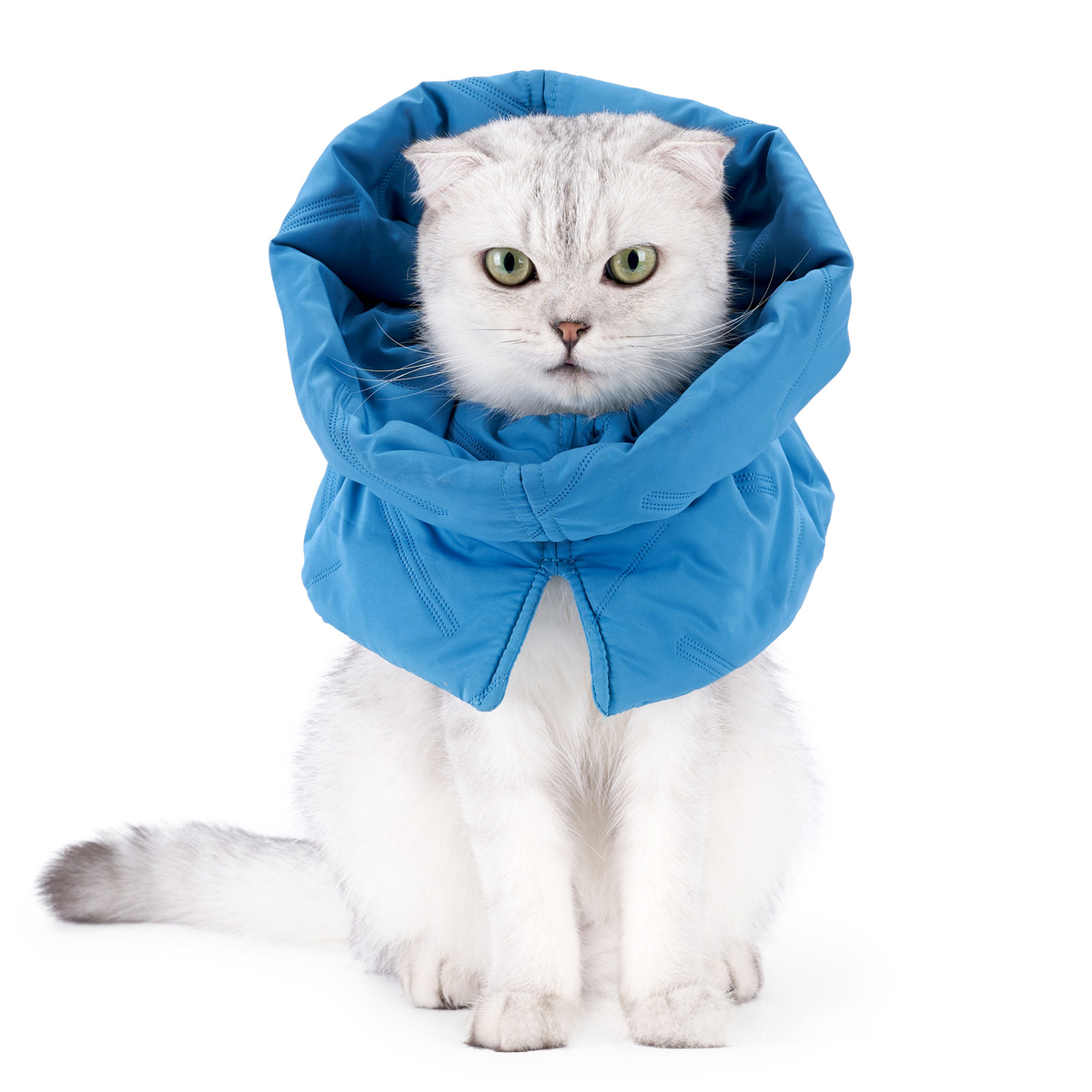 Warm Cat Collar Scarf – Soft Woven Neck Warmer for Cats, Post-Surgery Comfort & Everyday Wear