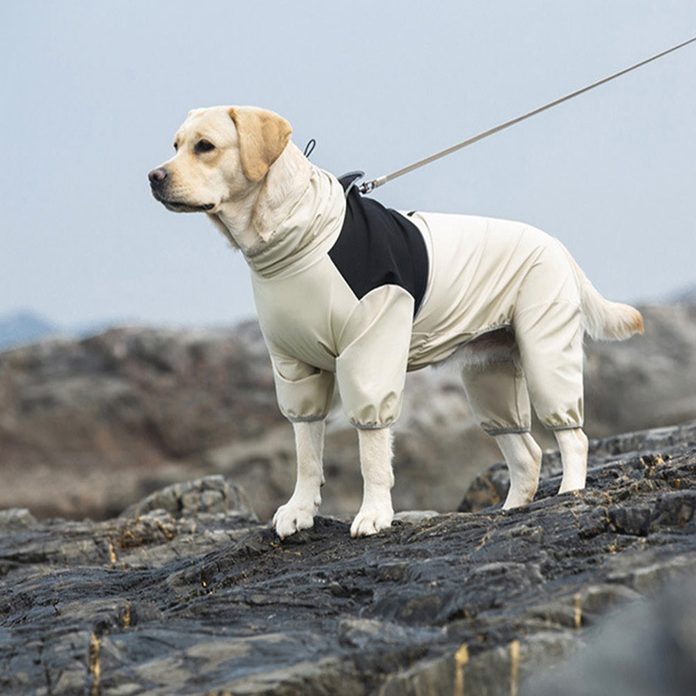 Waterproof Dog Raincoat – Four-Legged Rain Gear for Small & Medium Dogs