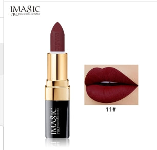 Matte Velvet Waterproof Lipstick with High Pigment (One)