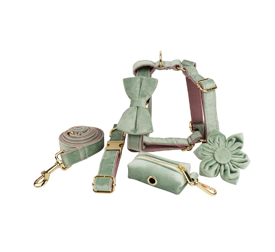 Adjustable Velvet Dog Collar – Soft Luxury Pet Collar in 19 Stylish Colors