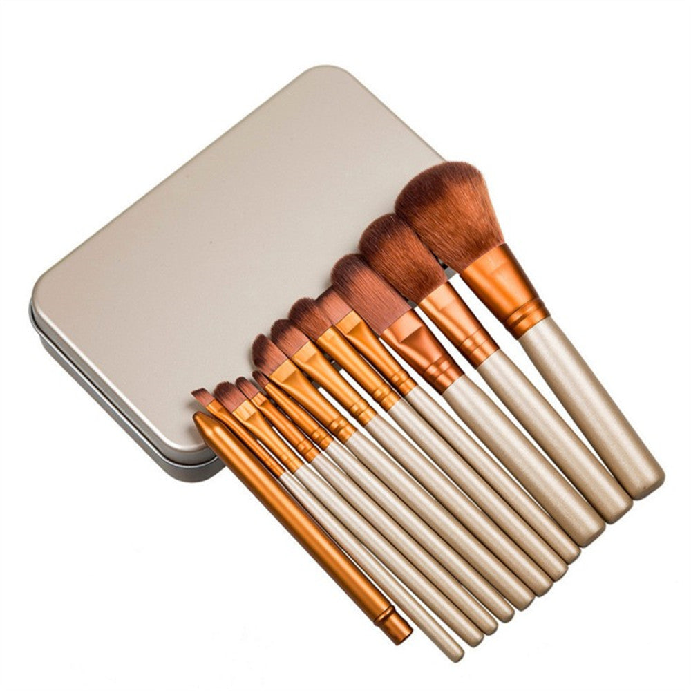 12-Piece Makeup Brush Set in Iron Box