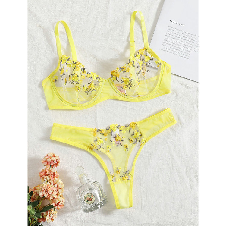 Women’s Low-Waist Lace Embroidered Bra Set – Elegant Matching Lingerie