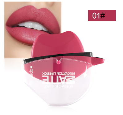 Matte Lipstick Lip Gloss in Creative Shapes
