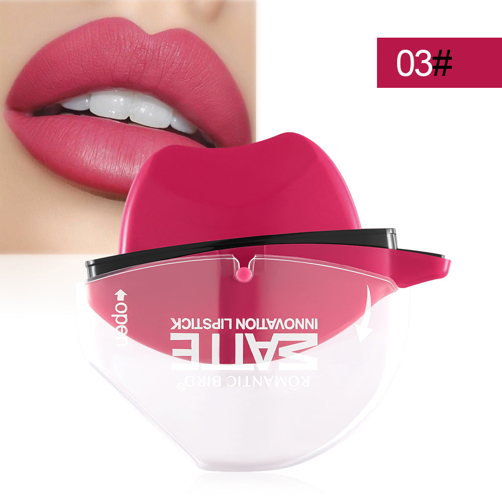 Matte Lipstick Lip Gloss in Creative Shapes
