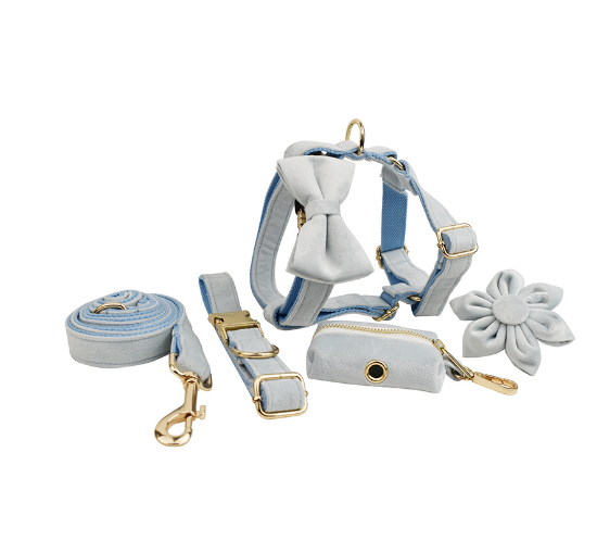 Adjustable Velvet Dog Collar – Soft Luxury Pet Collar in 19 Stylish Colors