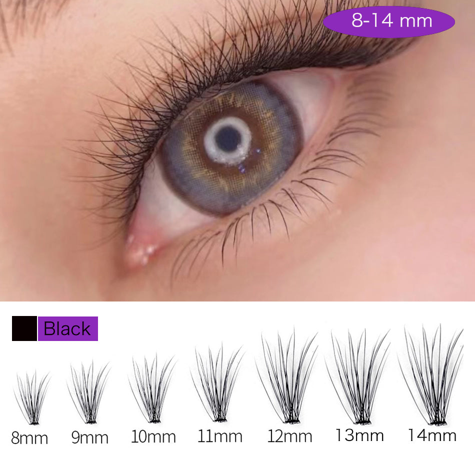 Natural Segmented Eyelash Extensions – 0.1mm B, C, D & DD Curl, 8–15mm