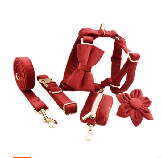 Adjustable Velvet Dog Collar – Soft Luxury Pet Collar in 19 Stylish Colors