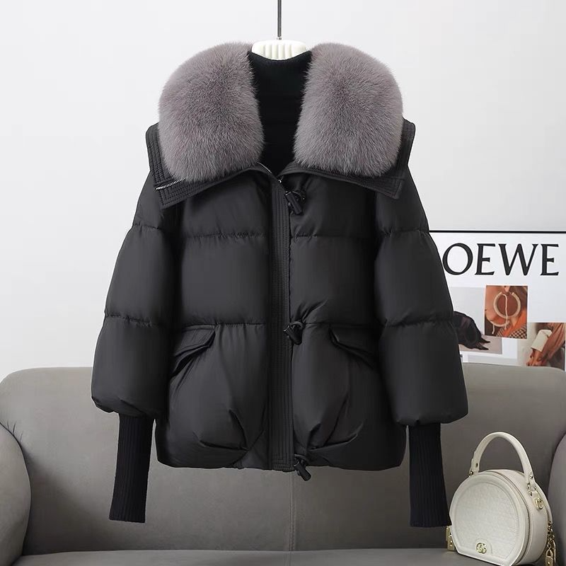 Women’s Down Cotton-Padded Jacket – Long Sleeve Zipper Warm Commuter Coat, Brown, Black & White, M–2XL