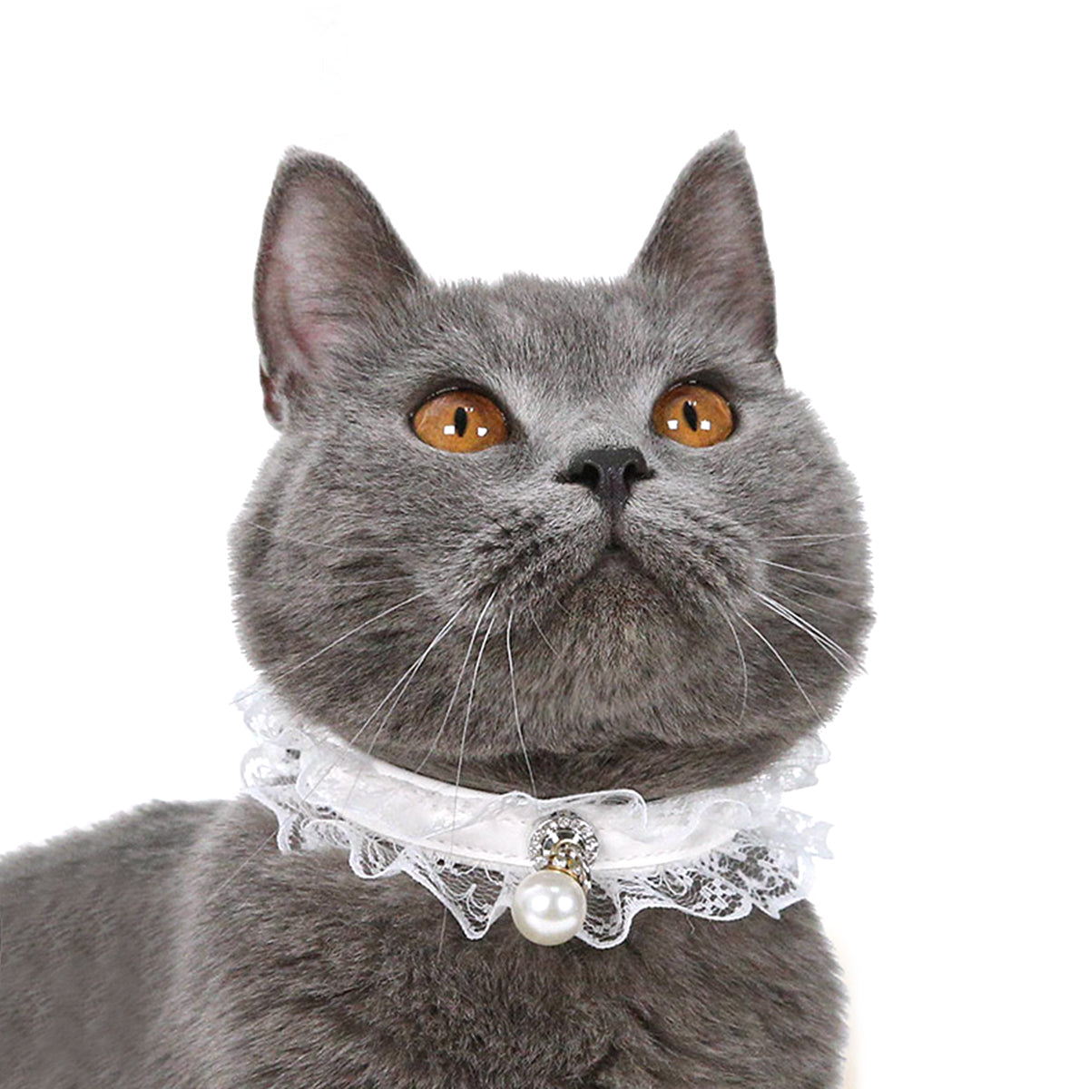 Adjustable Lace Cat Collar with Bell – Elegant PU Collar for Cats