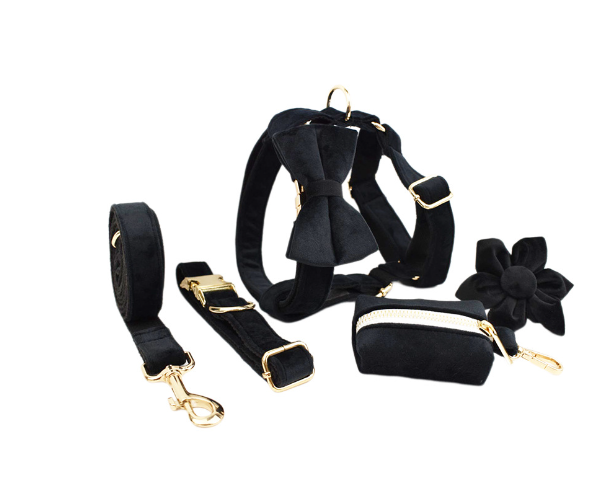 Adjustable Velvet Dog Collar – Soft Luxury Pet Collar in 19 Stylish Colors