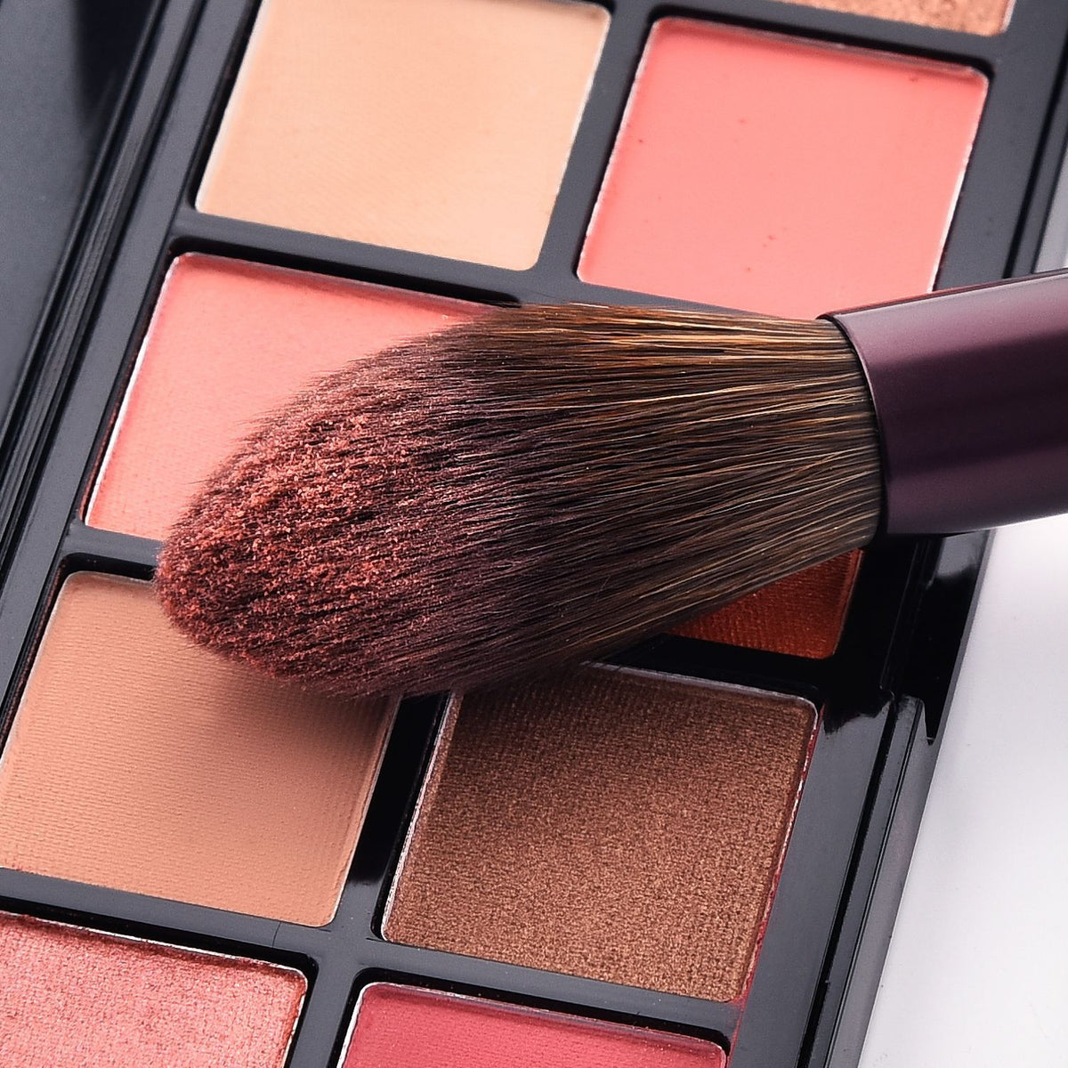 12-Piece Beginner Makeup Brush Set with Animal Hair