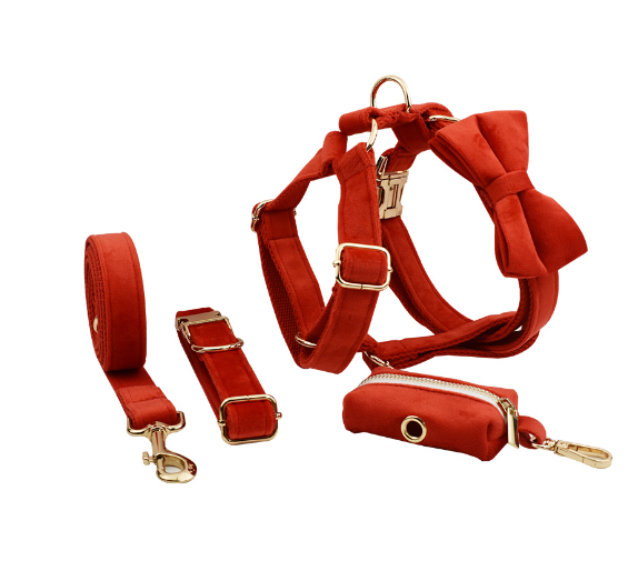 Adjustable Velvet Dog Collar – Soft Luxury Pet Collar in 19 Stylish Colors
