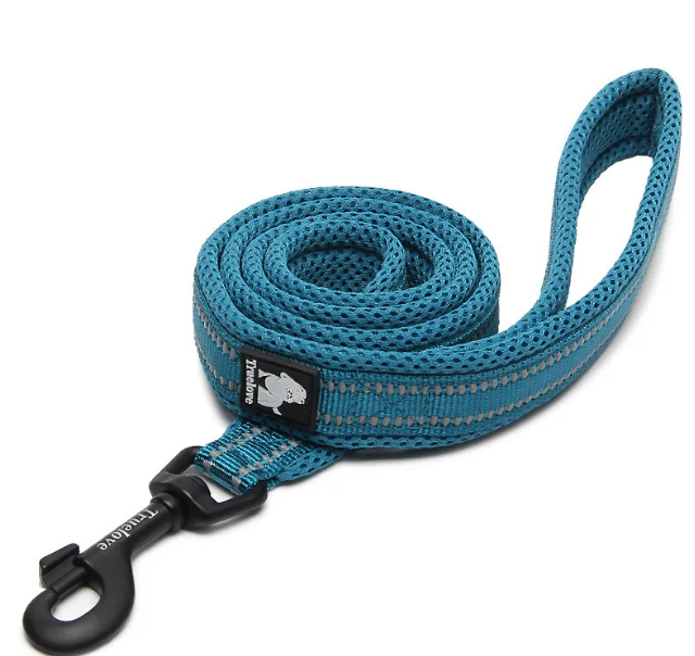 Adjustable Nylon Dog Leash – Stretchable 110CM & 200CM Pet Walking Lead