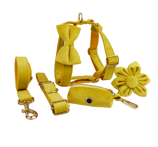 Premium Velvet Dog Collar Set – Adjustable Fashion Collar with Leash, Bow & Accessories
