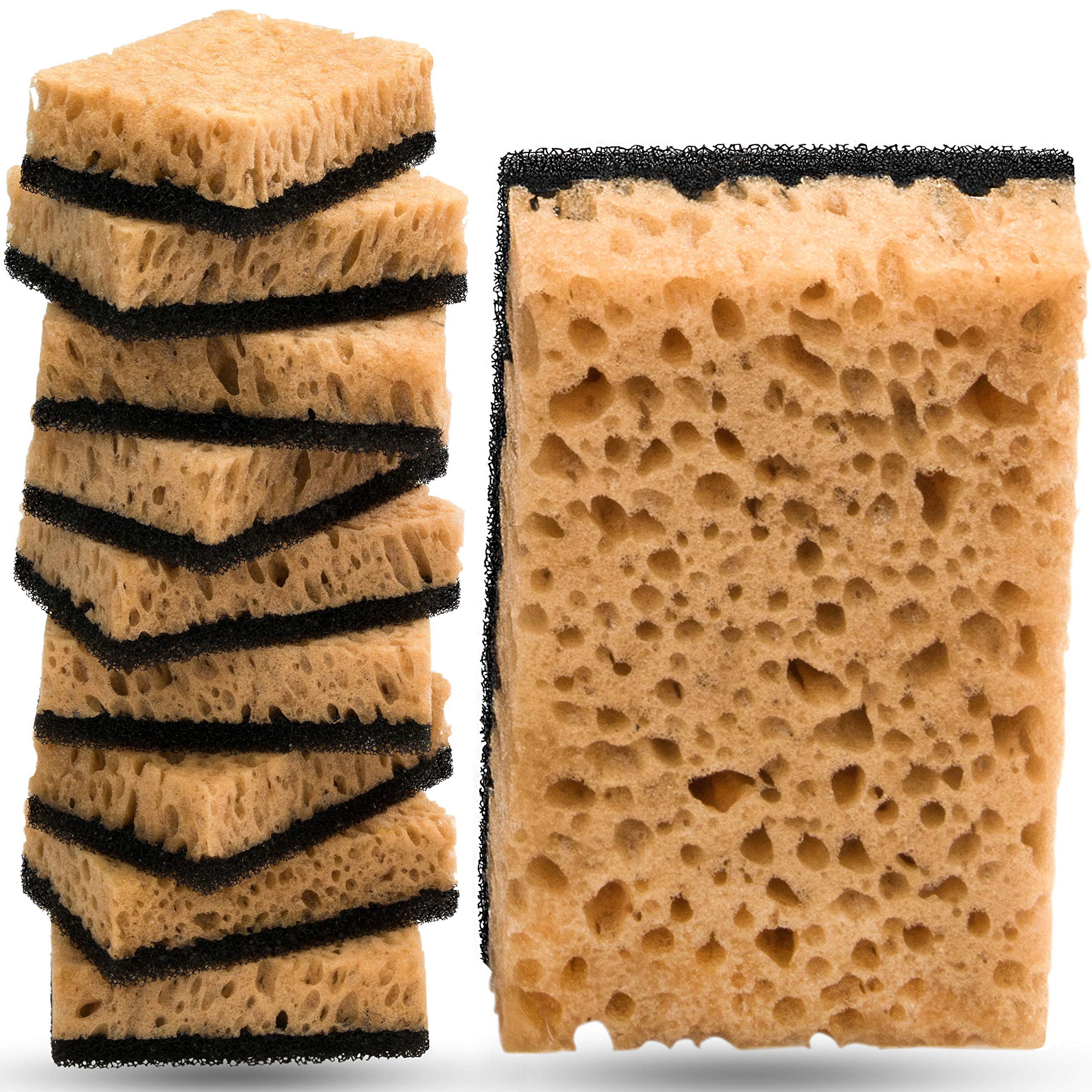Almitra Co Kitchen Sponges – 10-Pack Non-Scratch Multi-Purpose Dish Scrubbers