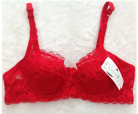 Women’s Lace Short Top with Underwire Bra – Elegant Bustier-Style Lingerie