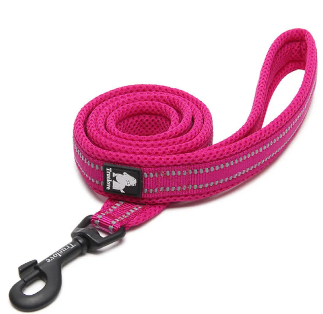 Adjustable Nylon Dog Leash – Stretchable 110CM & 200CM Pet Walking Lead