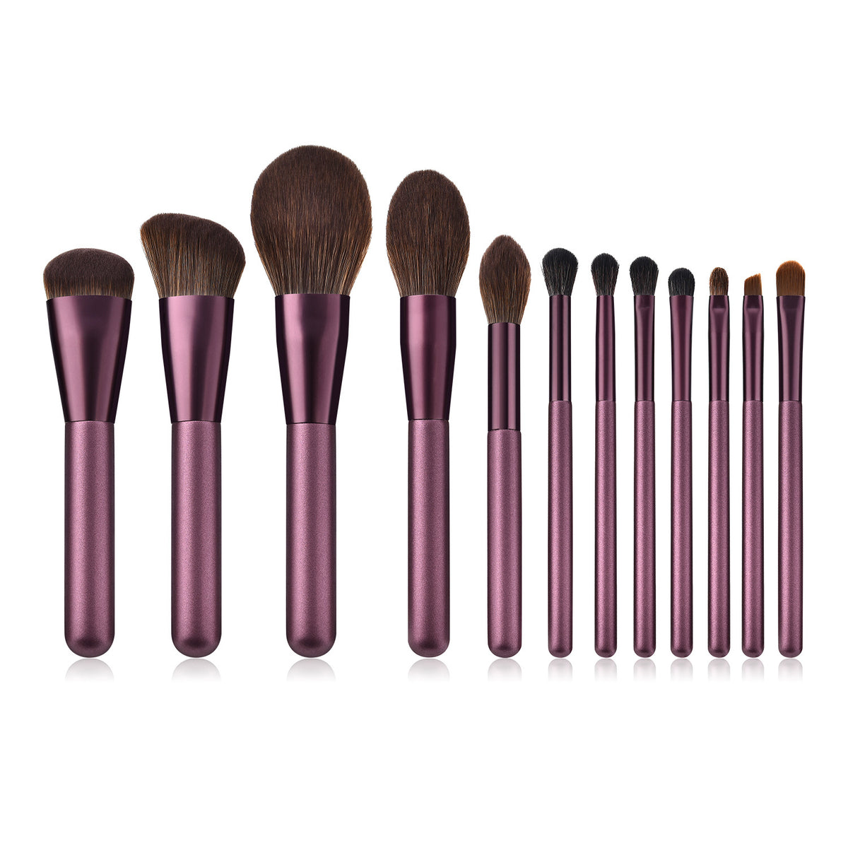 12-Piece Beginner Makeup Brush Set with Animal Hair