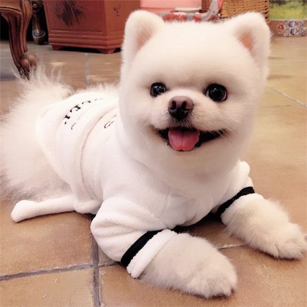 Hooded Dog Bathrobe Pajamas – Soft White Cozy Pet Clothing for Dogs