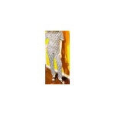 Two Piece Pants Set – Scoop Neck Short Sleeve Top & Pants for Women
