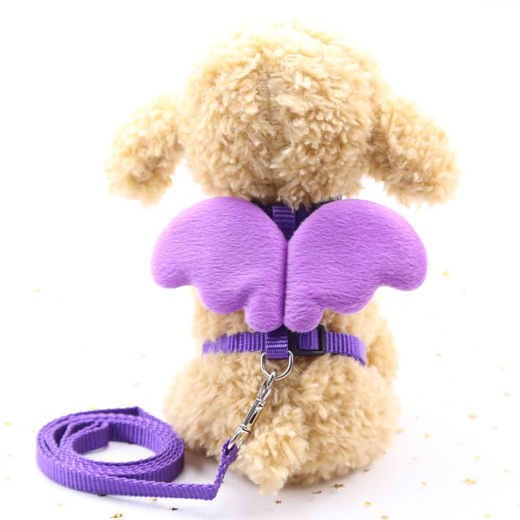 Cute Angel Dog Harness & Leash – Adjustable Polyester Walking Set for Small Dogs