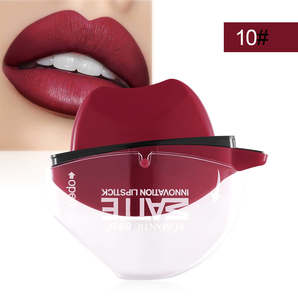 Matte Lipstick Lip Gloss in Creative Shapes