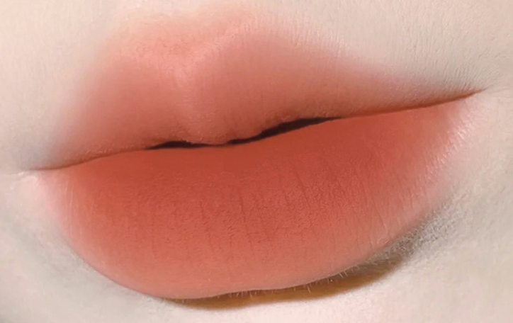 High-Value Waterproof Matte Lip Glaze Lipstick