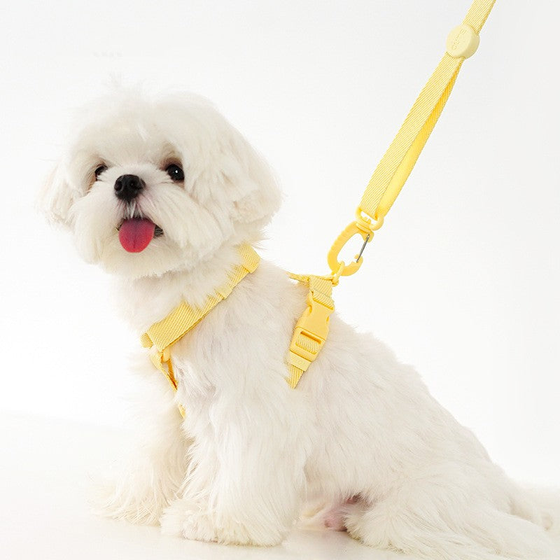Korean Macaron H-Type Pet Harness & Leash Set – Adjustable Nylon Harness for Cats & Dogs