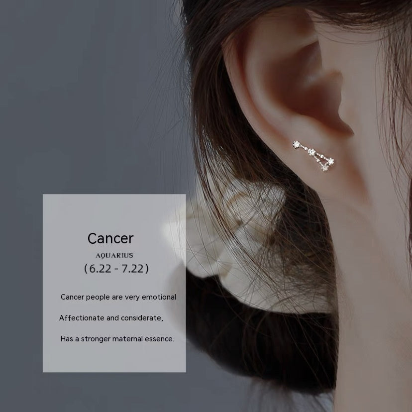 Zodiac Constellation S925 Silver Stud Earrings – Celestial Astrology Jewelry