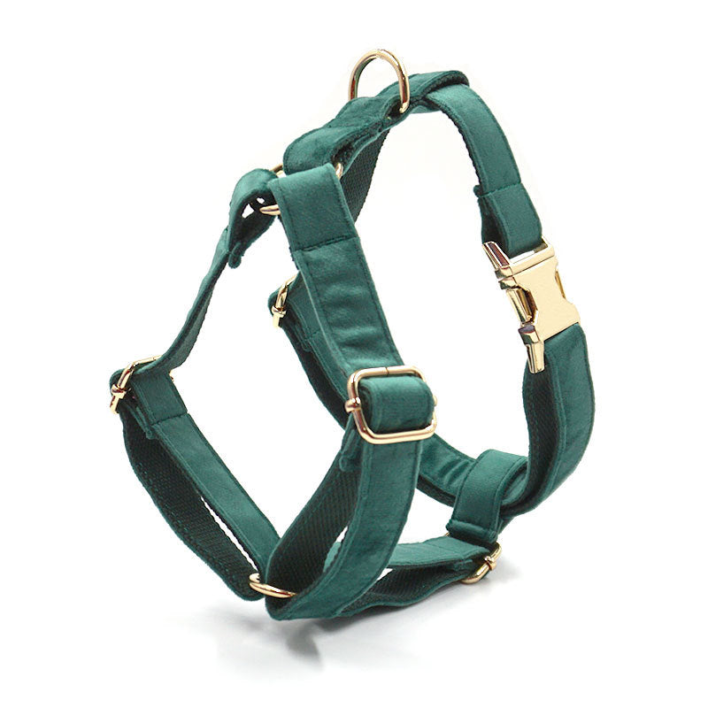 Green Velvet Dog Collar & Leash Set – Luxury Gold Buckle Pet Walking Accessories