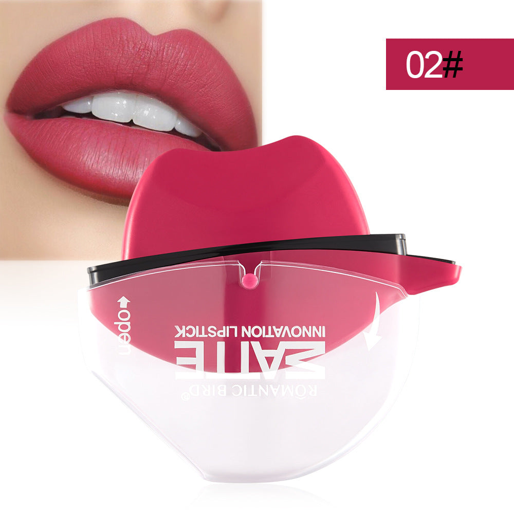 Matte Lipstick Lip Gloss in Creative Shapes