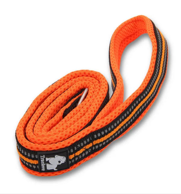 Adjustable Nylon Dog Leash – Stretchable 110CM & 200CM Pet Walking Lead