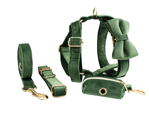Premium Velvet Dog Collar Set – Adjustable Fashion Collar with Leash, Bow & Accessories