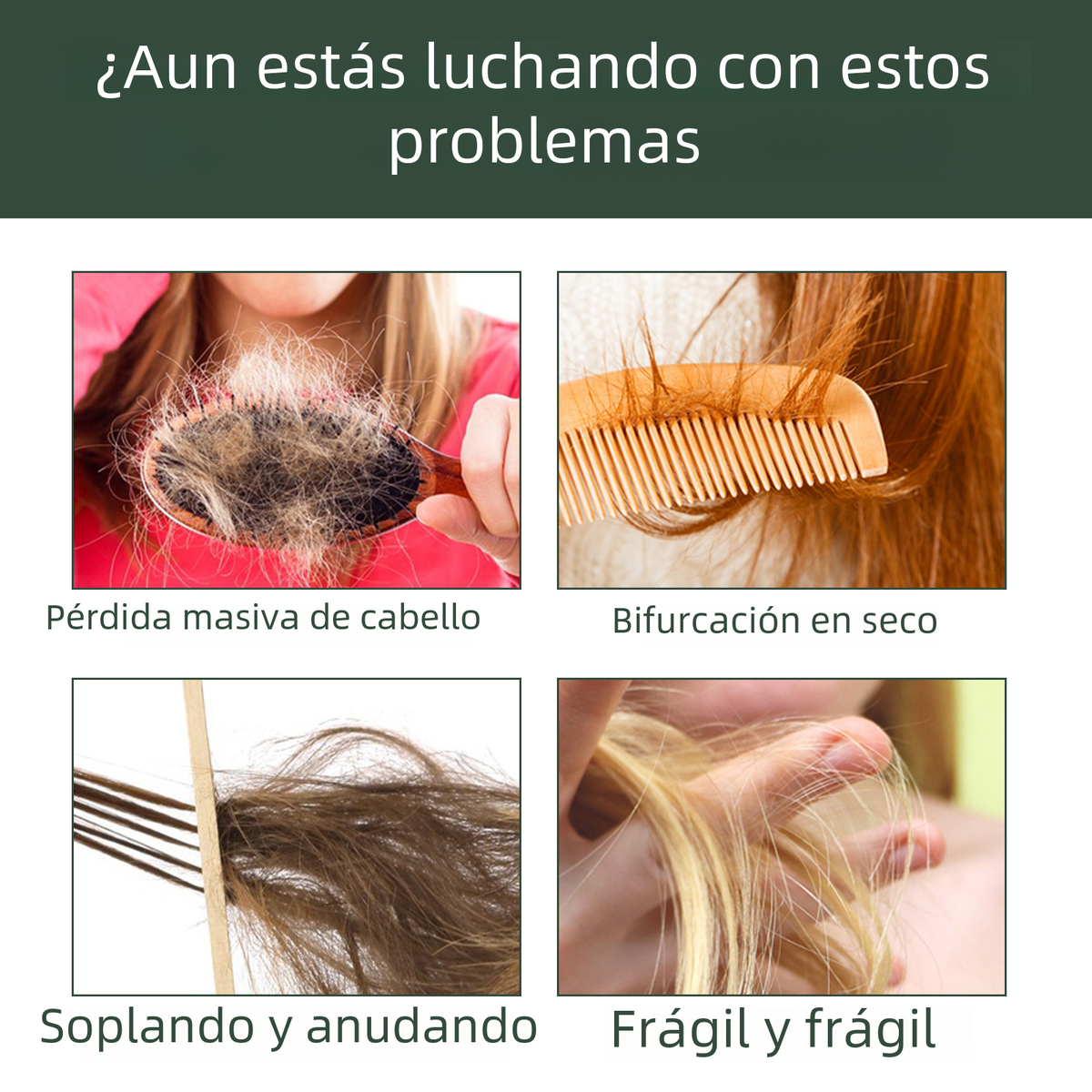Woodsleep Hair Essence – Scalp Care & Hair Repair Treatment – USA