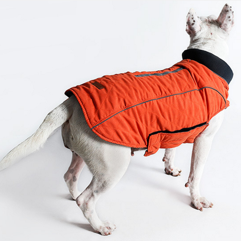Kawaii Winter Dog Jacket – Thick Retro Warm Pet Coat for Small Dogs