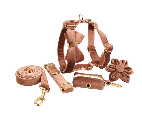 Adjustable Velvet Dog Collar – Soft Luxury Pet Collar in 19 Stylish Colors