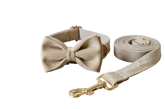 Mint Green Velvet Dog Collar & Leash Set – Luxury Comfortable Pet Walking Set